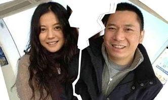 娱乐大爆料赵薇离婚,娱乐圈再掀波澜