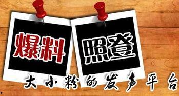 揭阳本地新闻爆料,惊现神秘事件，真相令人震惊！