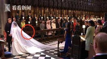 戴安娜给记者爆料视频,揭开王室背后惊人真相