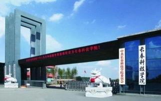 长春科技学院最新爆料,揭秘校园风云与变革历程