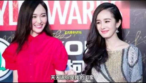 花姐爆料时刻视频下载安装,视频下载安装全攻略揭秘