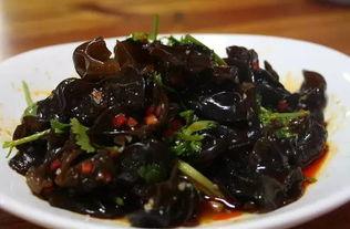 哈尔滨木耳爆料视频,揭露食品安全背后的惊人真相