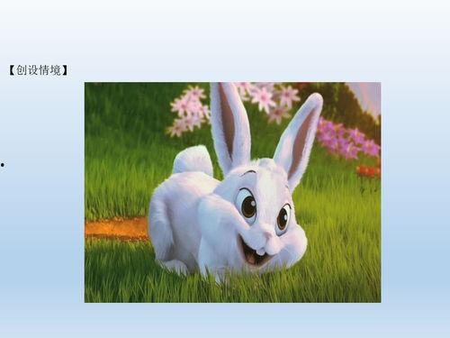 兔子狮子爆料视频大全下载,揭秘娱乐圈幕后真相