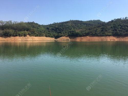 三坑水库爆料最新消息新闻,揭秘水库周边生态保护与旅游发展新动态