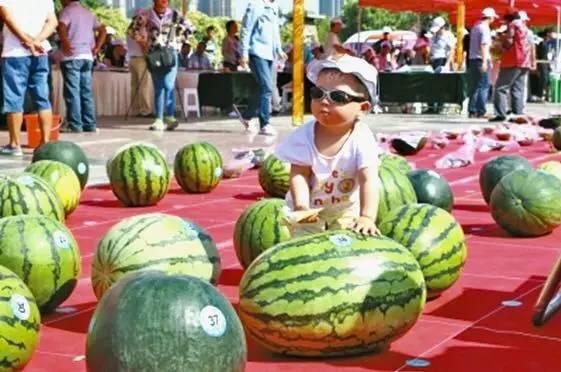 吃瓜大赛在线,一场全民参与的美食盛宴